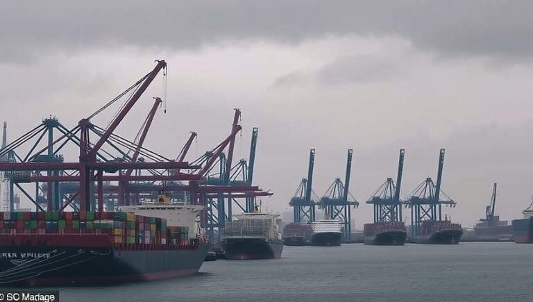 German Left Slams Gas Debate as Deceptive