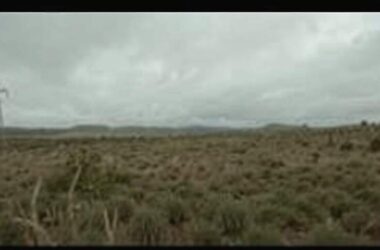 France Nears Mercosur Deal Approval