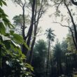 EU Nations Agree Forest Protection Deal