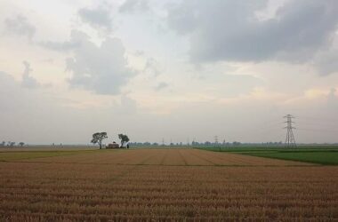 Farmers Join Military Drills Amid Security Concerns