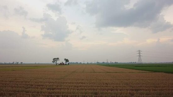 Farmers Join Military Drills Amid Security Concerns