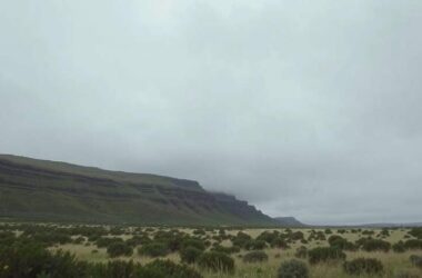 Fluorinated Gas Emissions Decline