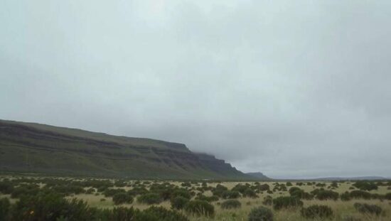 Fluorinated Gas Emissions Decline