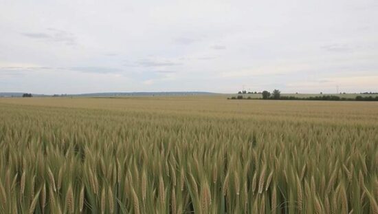 Farmer Exports Get Priority Push