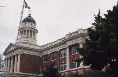 Consultant Spending Drops for German Government