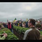 Farmers Block Brussels Ahead of EU Summit