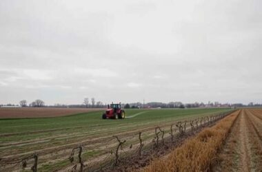 Sugar Tax Rejected by Farming Minister