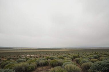 EU Climate Goals Jeopardized by Emissions Delay