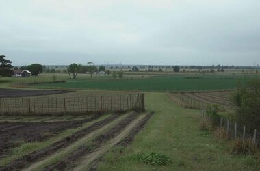 Butter Prices Spark Farmer Protests Minister Sees No Intervention