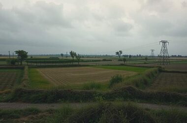 Thailand Bombs Cambodia