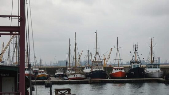 Rotterdam Port Braces for Volume Decline