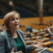 German Green Leader Calls Mercosur Vote a Mistake