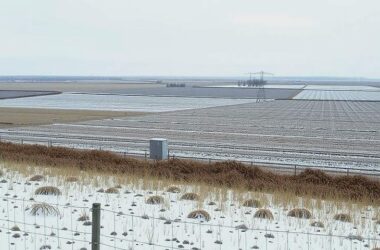 Early Frost Boosts German Harvest Hopes