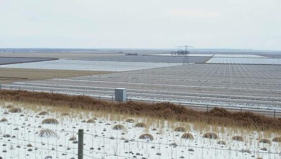 Early Frost Boosts German Harvest Hopes