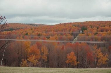 Domestic Tourism Climbs in November