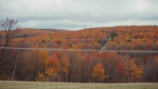 Domestic Tourism Climbs in November