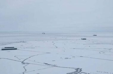 Trump Revives Greenland Pursuit