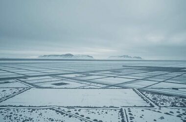 Germans Back Greenland Defense