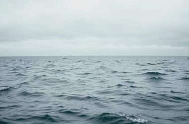 North Sea Record Warmth Sets New High