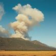 Agriculture Drove South America’s Sudden Forest Fires, Study Finds
