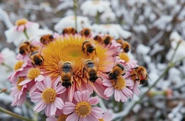 Bundestag Bees Survive Harsh Winter With No Major Losses