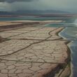 German Climate Anxiety Rises But Still Below 80s Environmental Fear Levels